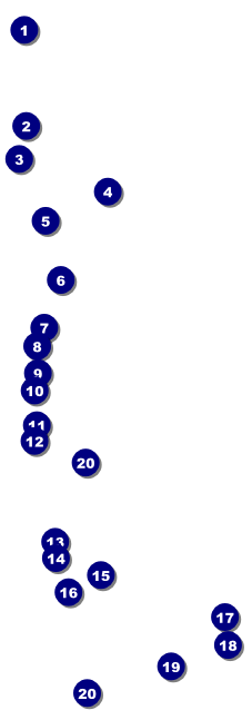 Lymphoma Event Ticket Front Field Markers