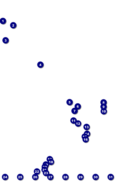 Snow White Logo Poster Front Field Markers