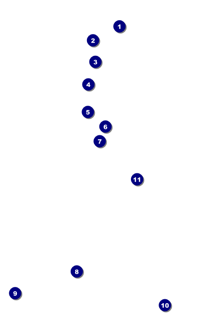 Cheerleading Spirit Drink Ticket Front Field Markers