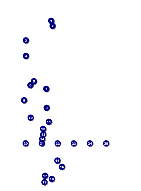 Blue Jeans Logo Flyer Front Field Markers
