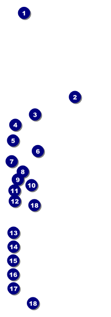 Bridal Raffle Ticket Front Field Markers