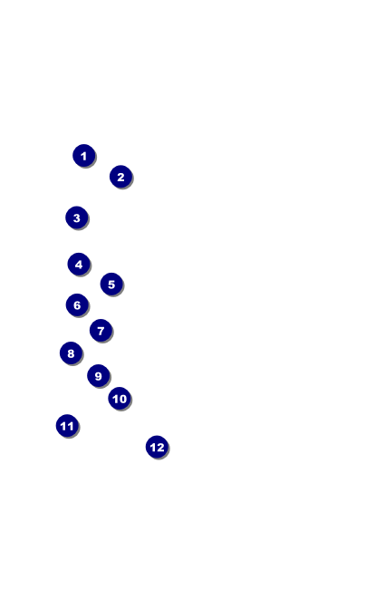 Fire and Ice Drink Ticket Front Field Markers