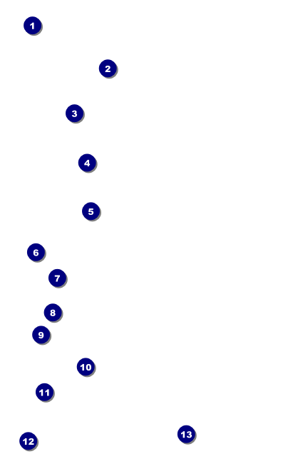 All Purpose Blue Drink Ticket Front Field Markers