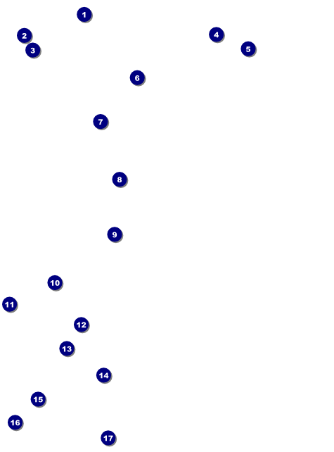 All Purpose Blue Flyer Front Field Markers
