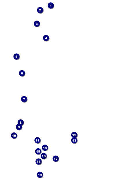 Rainbow Flyer Front Field Markers