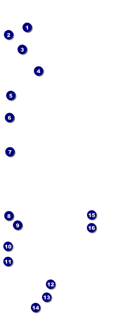 Rainbow VIP Pass Front Field Markers