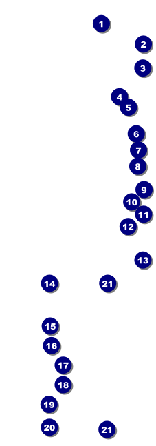 Squares Raffle Ticket Front Field Markers