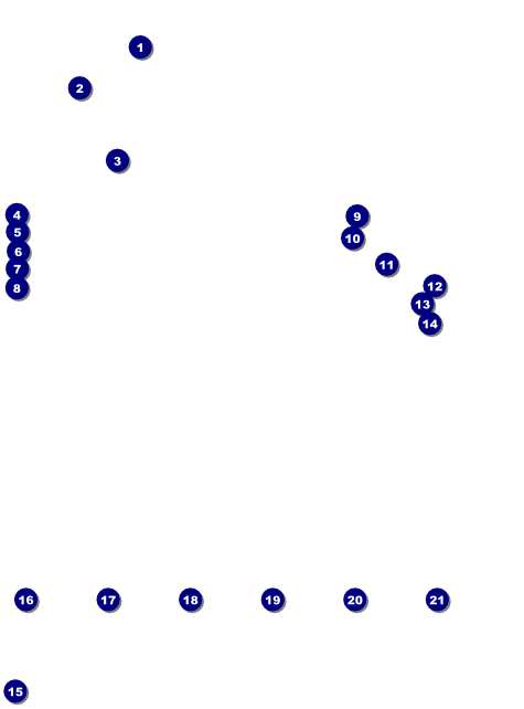 Blues Cruise Logo Flyer Front Field Markers
