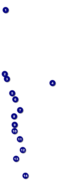 Humane Society VIP Pass Front Field Markers
