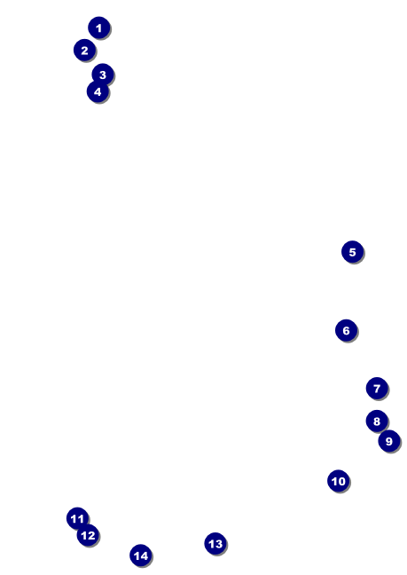 Mexican Flag Postcard Front Field Markers