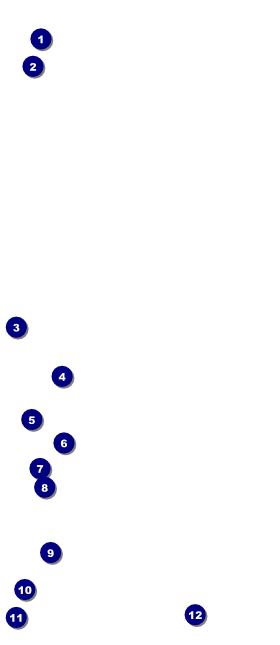 Speed Dating VIP Pass Front Field Markers