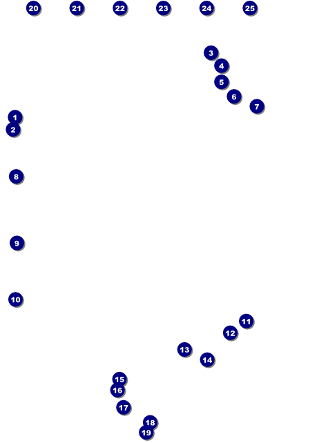 Puerto Rico Logo Flyer Front Field Markers