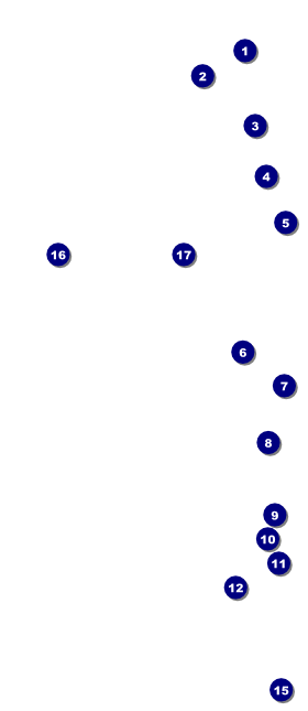 Women's Expo Abstract VIP Event Badge Large Front Field Markers