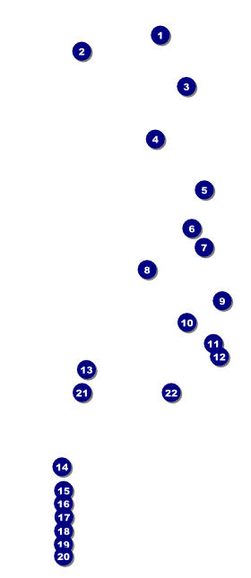 World Food Festival VIP Event Badge Large Front Field Markers