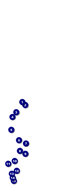 Abstract Lights Table Tent Front Field Markers