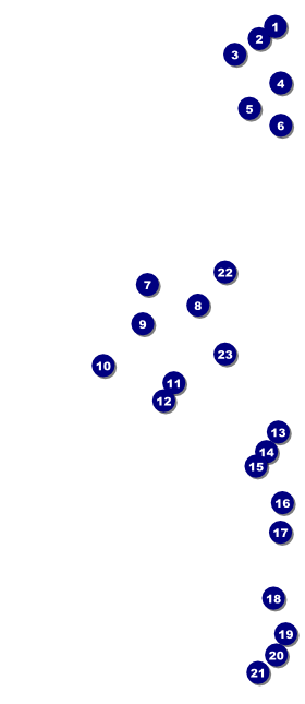 Nutcracker VIP Event Badge Large Front Field Markers