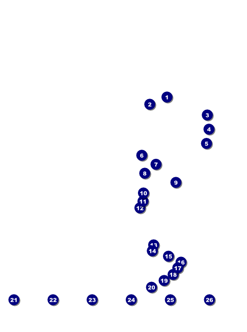 California Flyer Front Field Markers