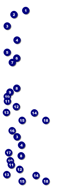 African Theme Reserved Event Ticket Front Field Markers