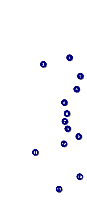 Red Rose Hang Tag Front Field Markers