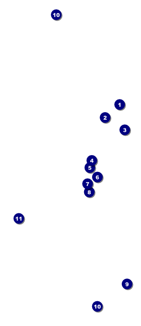 Dinosaur Illustrated Hang Tag Front Field Markers