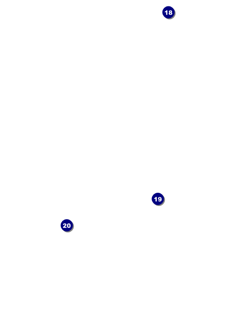 Carnival Monkey Postcard Mailer Back Field Markers