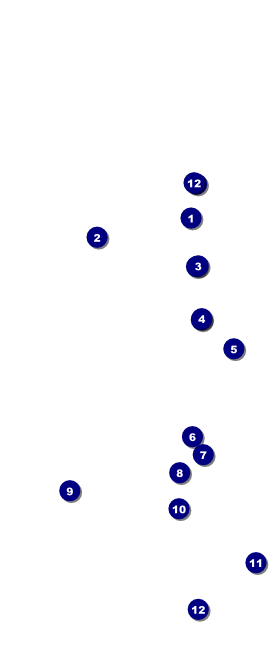 Disco Hang Tag Front Field Markers
