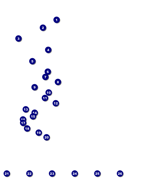 Dallas Flyer Front Field Markers