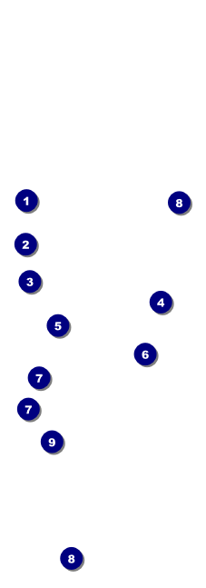 Cherry Blossom QR Event Ticket Front Field Markers