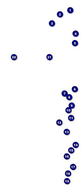 Red  VIP Event Badge Large Front Field Markers