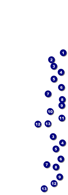 BBQ Kettle Grill Event Ticket Front Field Markers
