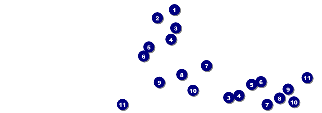 Fiesta Ticket Front Field Markers