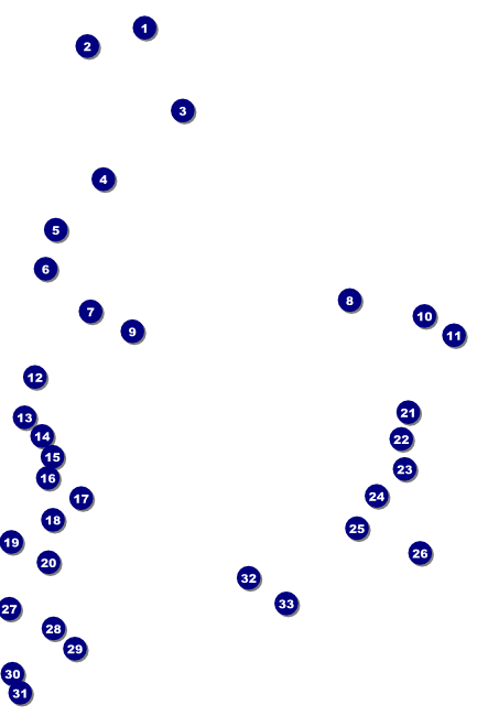 MMA Main Event Brown Poster Front Field Markers