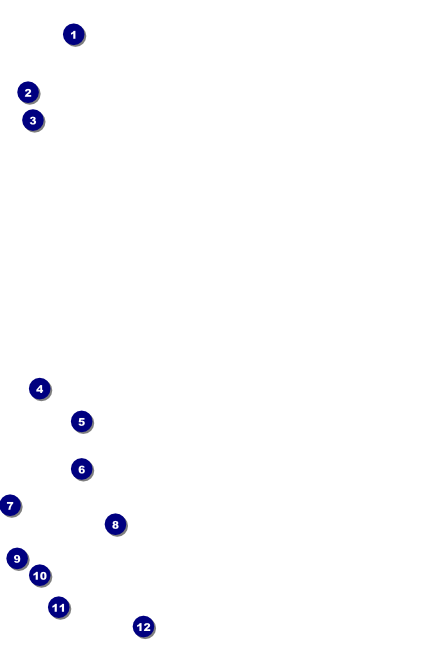 Birthday Party Poster Front Field Markers