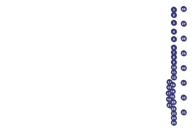 Blue Ribbon Poster Front Field Markers