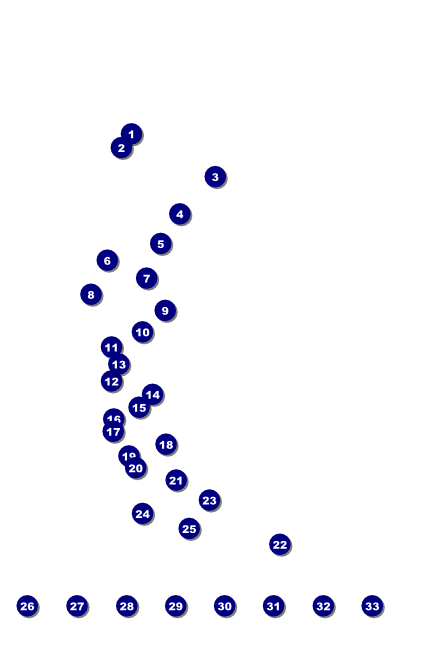 Aloha Poster with Image Upload Front Field Markers