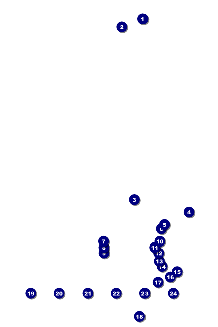 Cherry Blossom Circle Logo Poster Front Field Markers