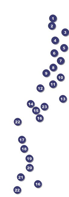 Fireworks Raffle Ticket Front Field Markers