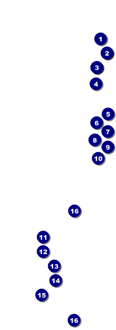 Whimsical Paris Raffle Ticket Front Field Markers