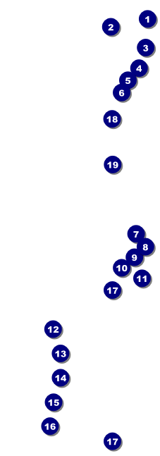 Ski Race Raffle Ticket Front Field Markers