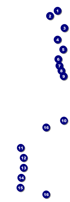 Dandelion Raffle Ticket Front Field Markers