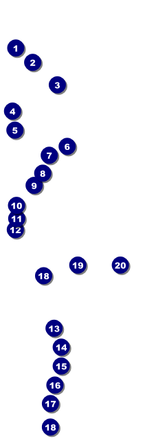 Soccer Field Raffle Ticket Front Field Markers