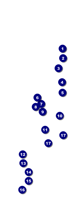 Women's Expo 3 Raffle Ticket Front Field Markers