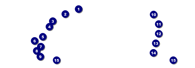 Lions Club International Face Raffle Ticket Front Field Markers
