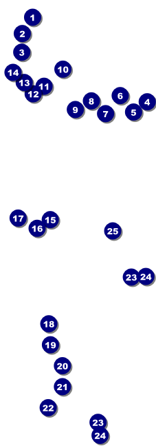 Cash Raffle Ticket 002 Front Field Markers