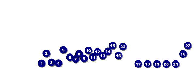 St. Louis Raffle Ticket Front Field Markers