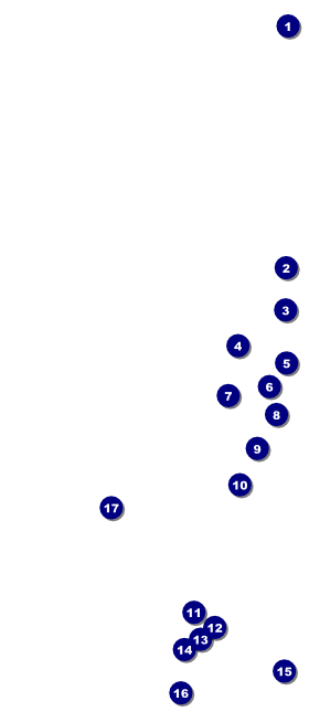 Sexy Vampire VIP Pass Front Field Markers