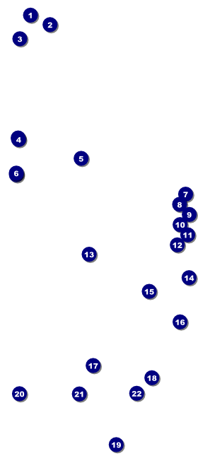 Mentoring VIP Pass Front Field Markers