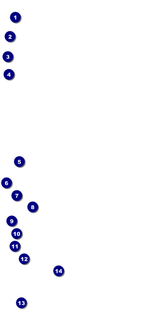 Volleyball Sun Rays VIP Pass Front Field Markers
