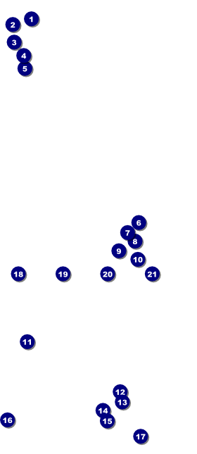 Beer Festival - Artisan VIP Pass Front Field Markers