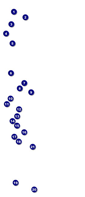 Milwaukee VIP Pass (Black and White) Front Field Markers